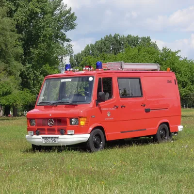 DSCN4296.JPG